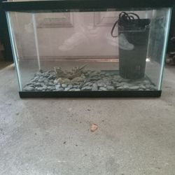 10 Gallon Fish Tank