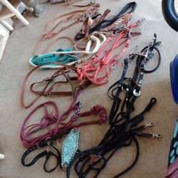 Horse Bridles, Bits. Halters, Leads, 25-60