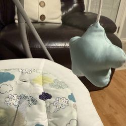 Graco DuetSoothe Swing + Rocker.