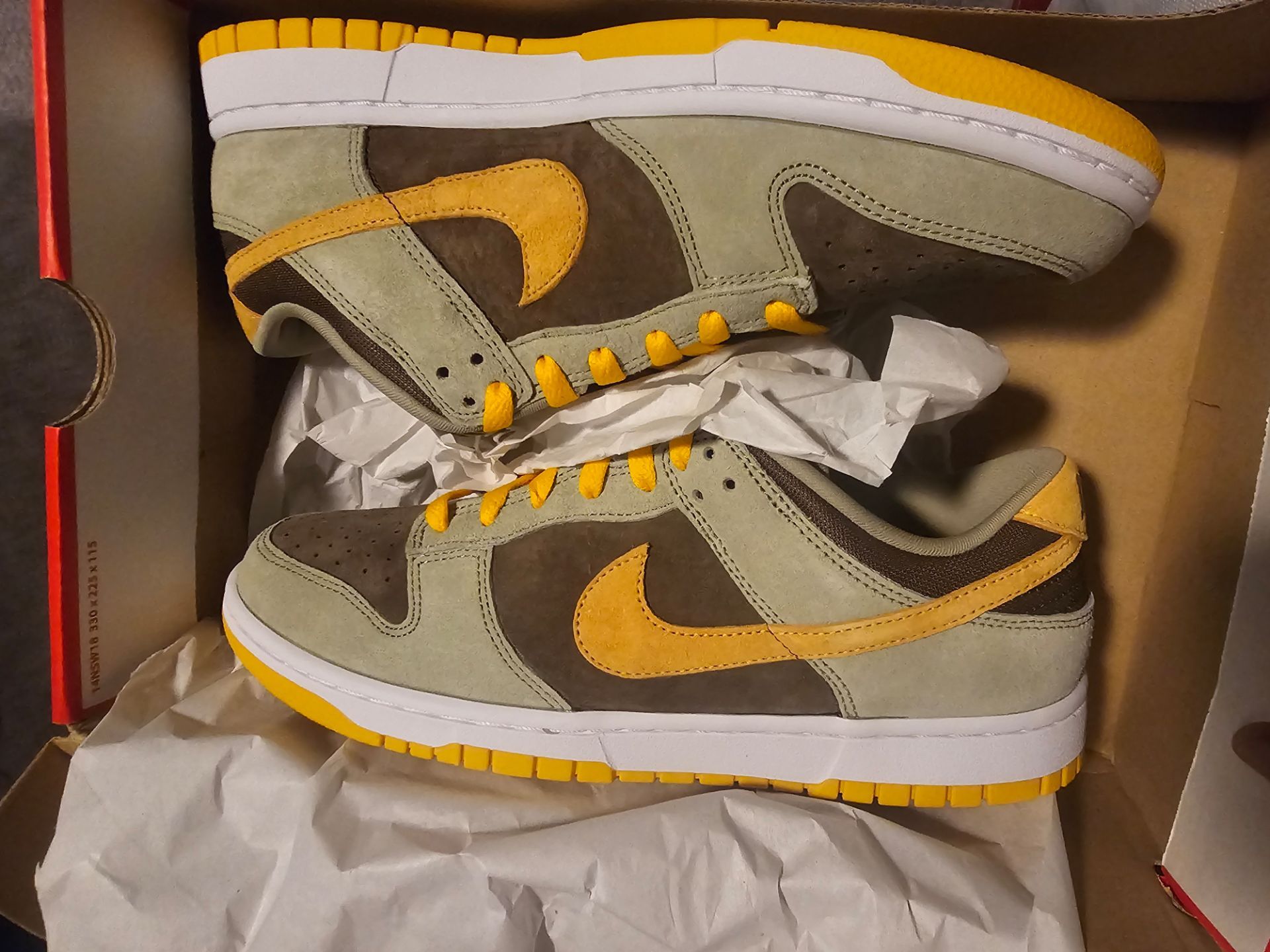 Nike dunk dusty olive