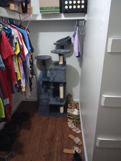 Play Area For Cats