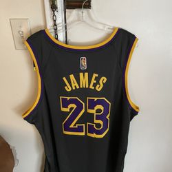 Lebron James Los Angeles Lakers Nike Men’s NBA Jersey XXL