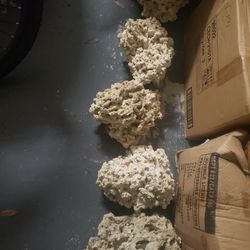 Coral Rocks (Salt Water)  Still available