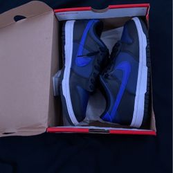 Nike dunks 