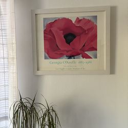 Georgia O’Keefe Red Poppy