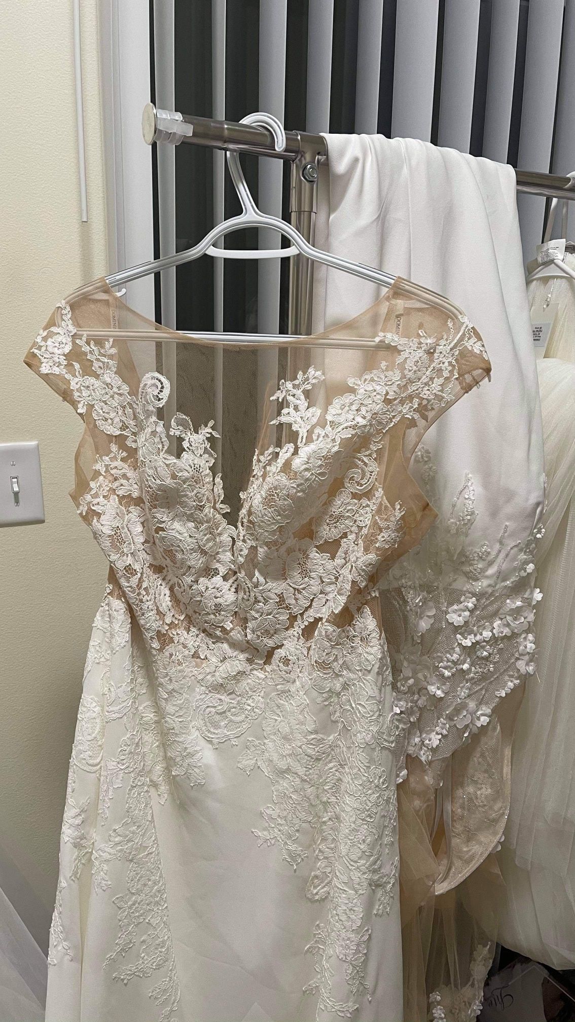 Wedding Dress and Veil