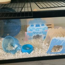 Hamster Or Mouse Cage
