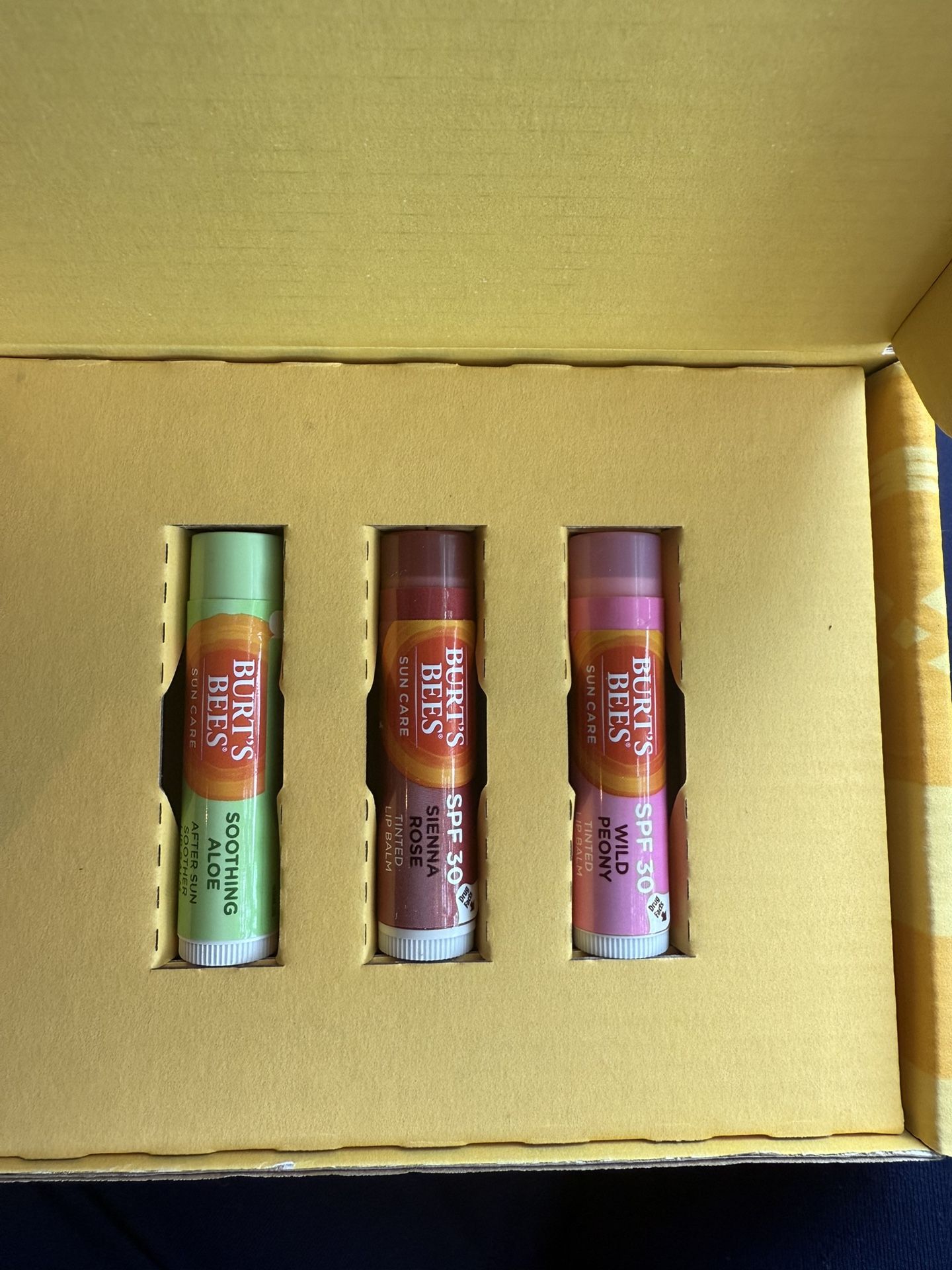 Burt’s Bee Sealed Up Lip Color