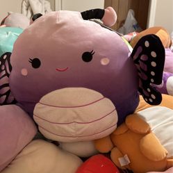 Squishmallows 