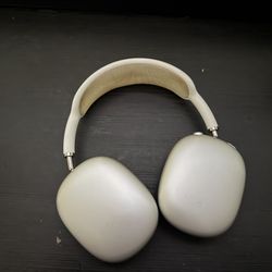 Apple Headphones 