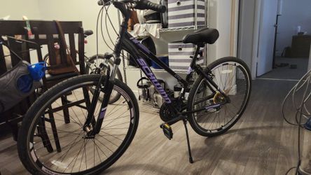 Schwinn GTX1