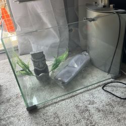 Fish Tank 