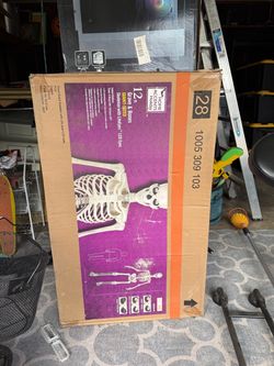 Home Depot 12 foot skeleton