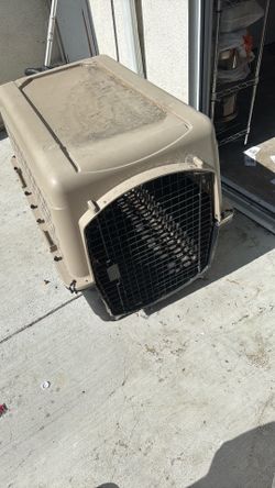 Big dog crate