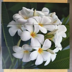 Wall Decorations from Thailand