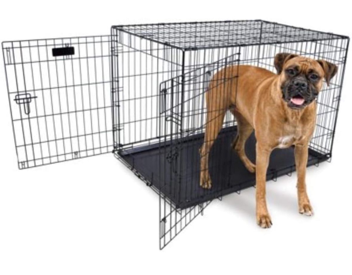 Precision two door wire dog crate, 30 inch
