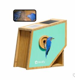 Bamboo Bird House Polygon - 2MP Camera, 1080P FHD Video, Infrared Night Vision, Al Lifetime Free, Solar-Powered, All-Weather