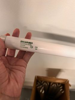 11 2’ Silvania Lightbulb 