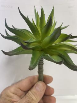 Succulent / Artificial