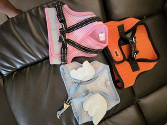 Harmer Para Dog 🐕 