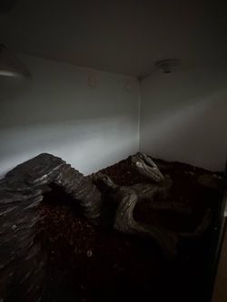 Reptile enclosure 4x2x2