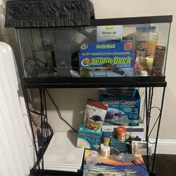 Fish / turtle Tank 
