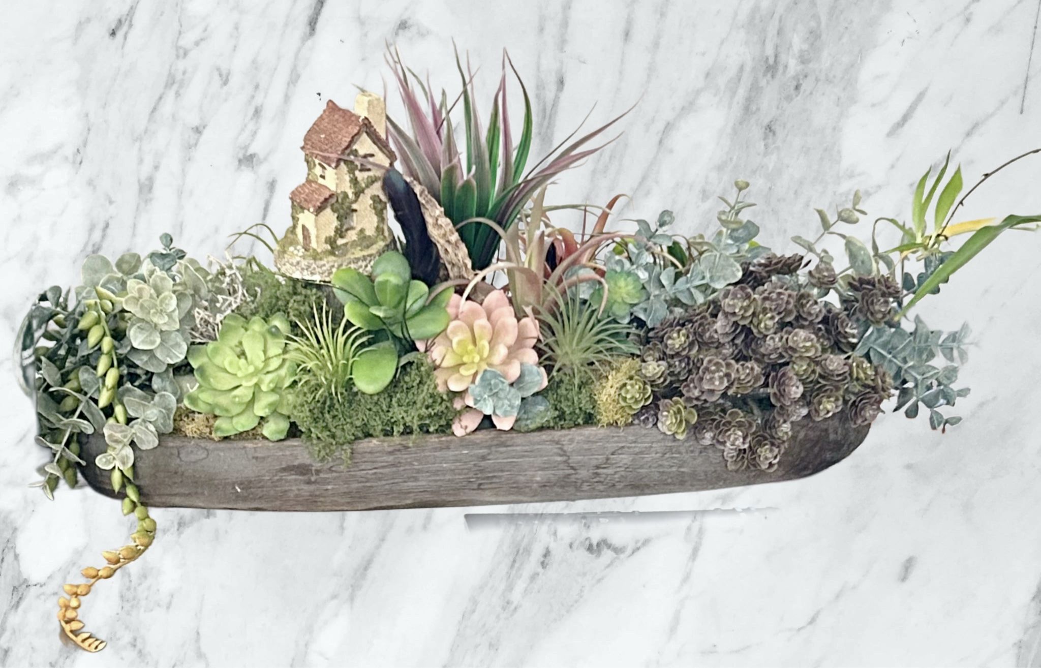 Succulent Arrangement