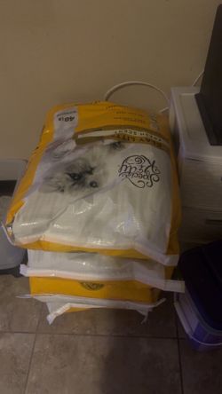 Cat Litter