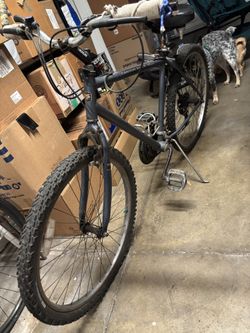 Large Mountain Bike