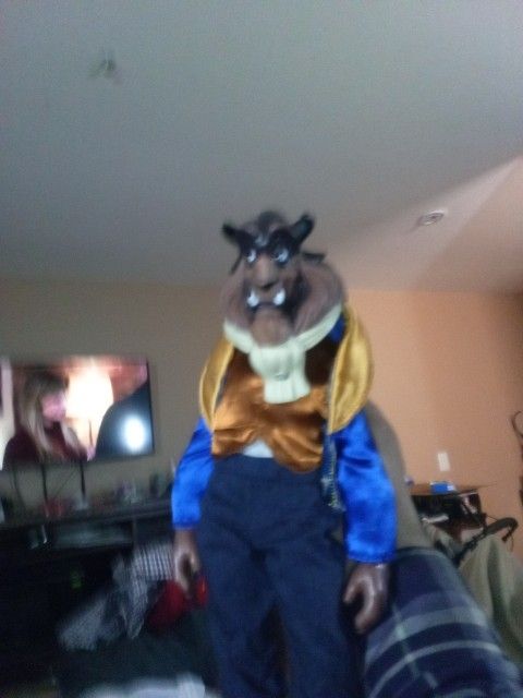 Collectible Beauty N The Beast Dol