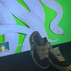 green puma suede XL worn twice tryna sell by today : April 26