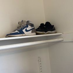 Jordan 11 And Jordan 1