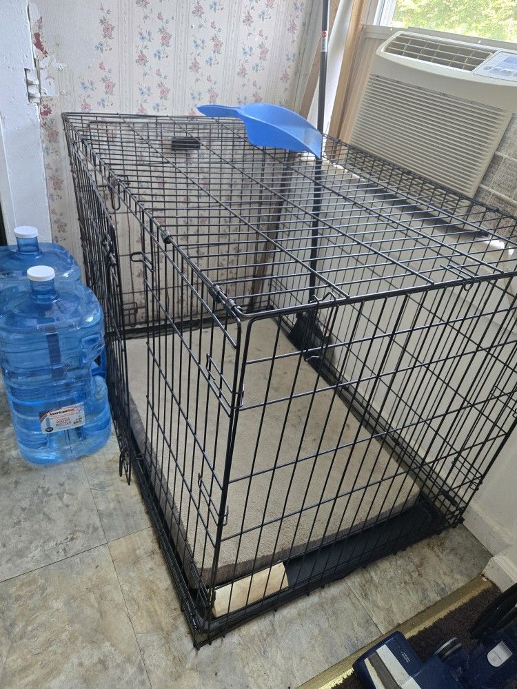 Dog Cage
