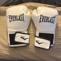 Boxing Gloves 