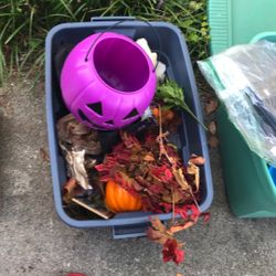 Halloween Items
