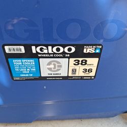 Igloo Cooler 