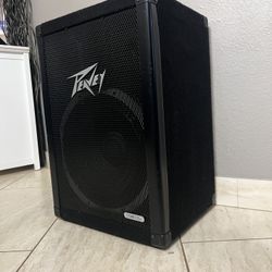 Peavey 115DL  Studio, Dj Speaker