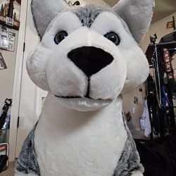 Husky Stuffy!