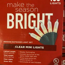39 Clear Indoor/outdoor 100 Mini Lights ($1 each)