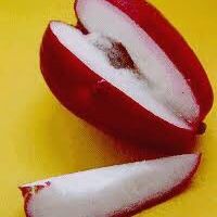 Wax Apple( pamarosa) Pomarac