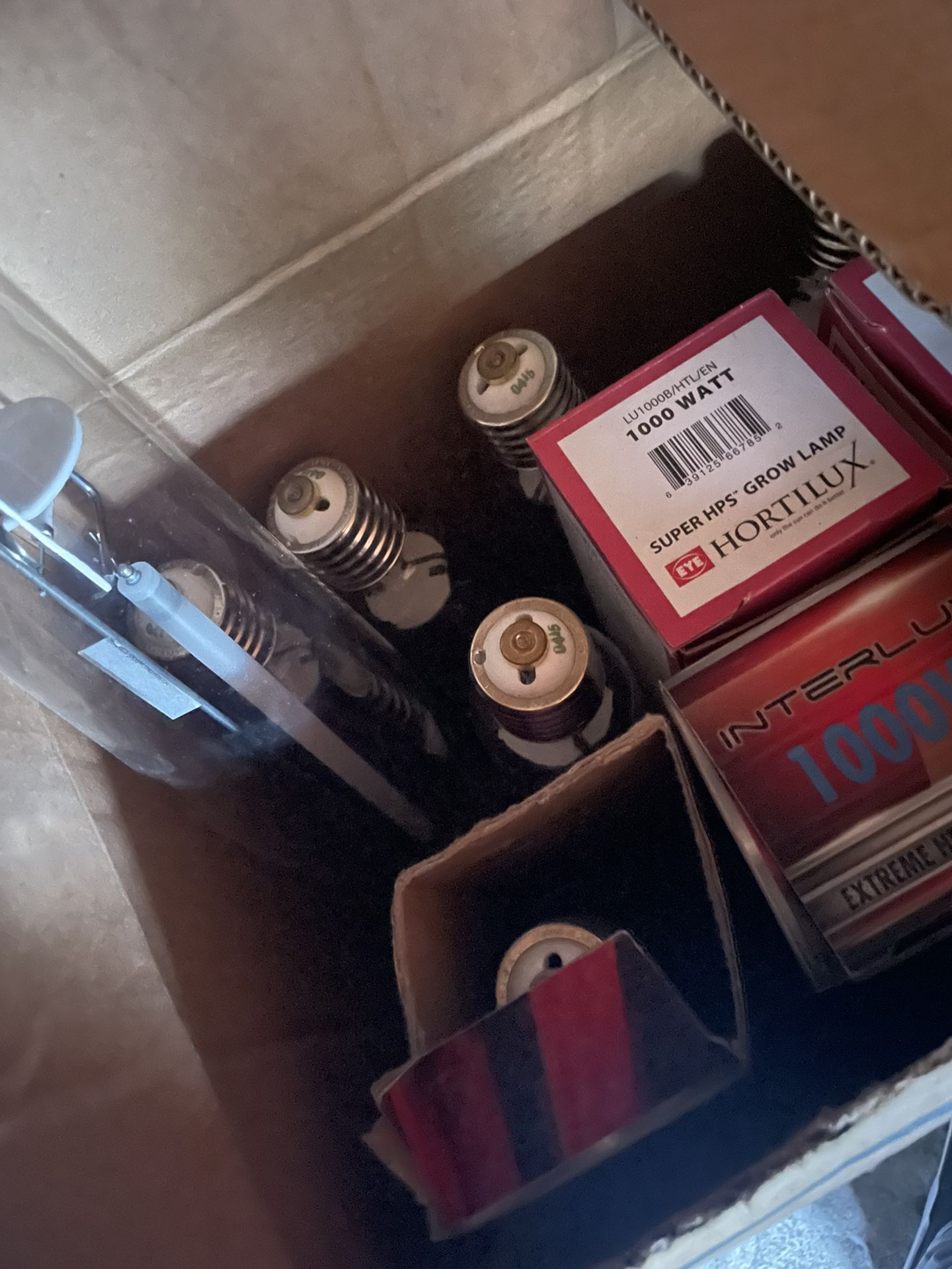 Grow Bulbs 1000w