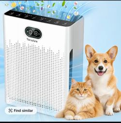 TeraAire HEPA Air Purifier for Family & Work Spaces - 2200 Ft² Coverage