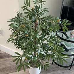 Artificial Olive Plant 4 FT With White Pot Realistic  Fruit And Bunches 