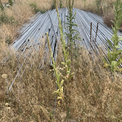 Galvanized Steel Poles