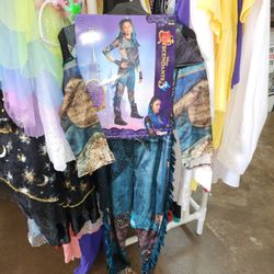 Disney Descendents Costume