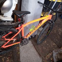 Mountain Bike Specialized