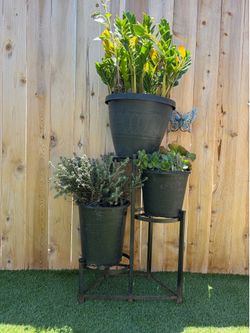 3 tier iron plant holder for only 50 dollars
