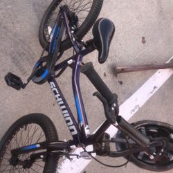 Schwinn Falcon 20" kids' bike.