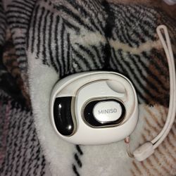 Interpreter  Earbuds