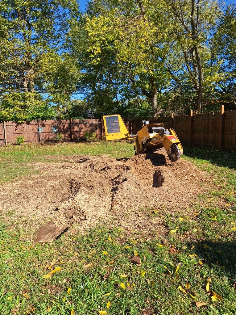 2013 Rg45 . 45hp Stump Grinder. Wireless Remote Control
